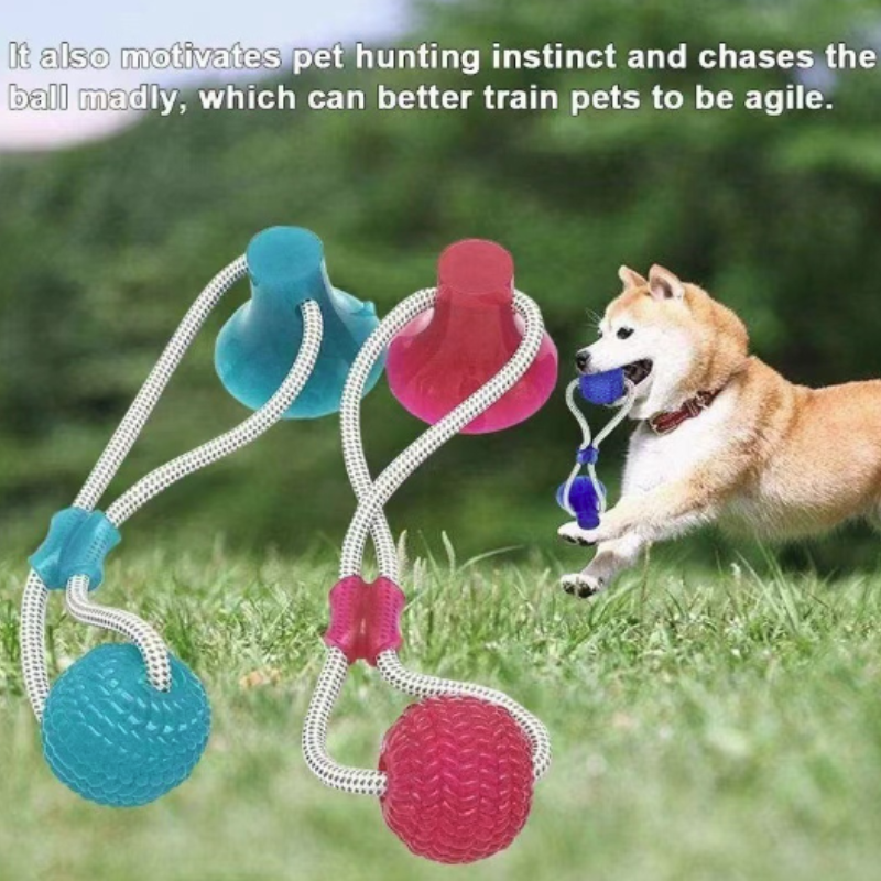 Pet Dental Chew Toy - Pet Toy Rubber Suction Cup Ball