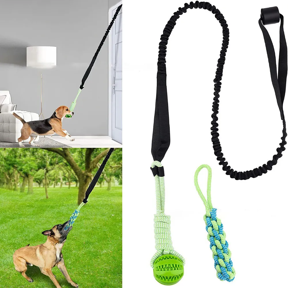Pet Dental Chew Toy - Interactive Dog Toy Tug of War