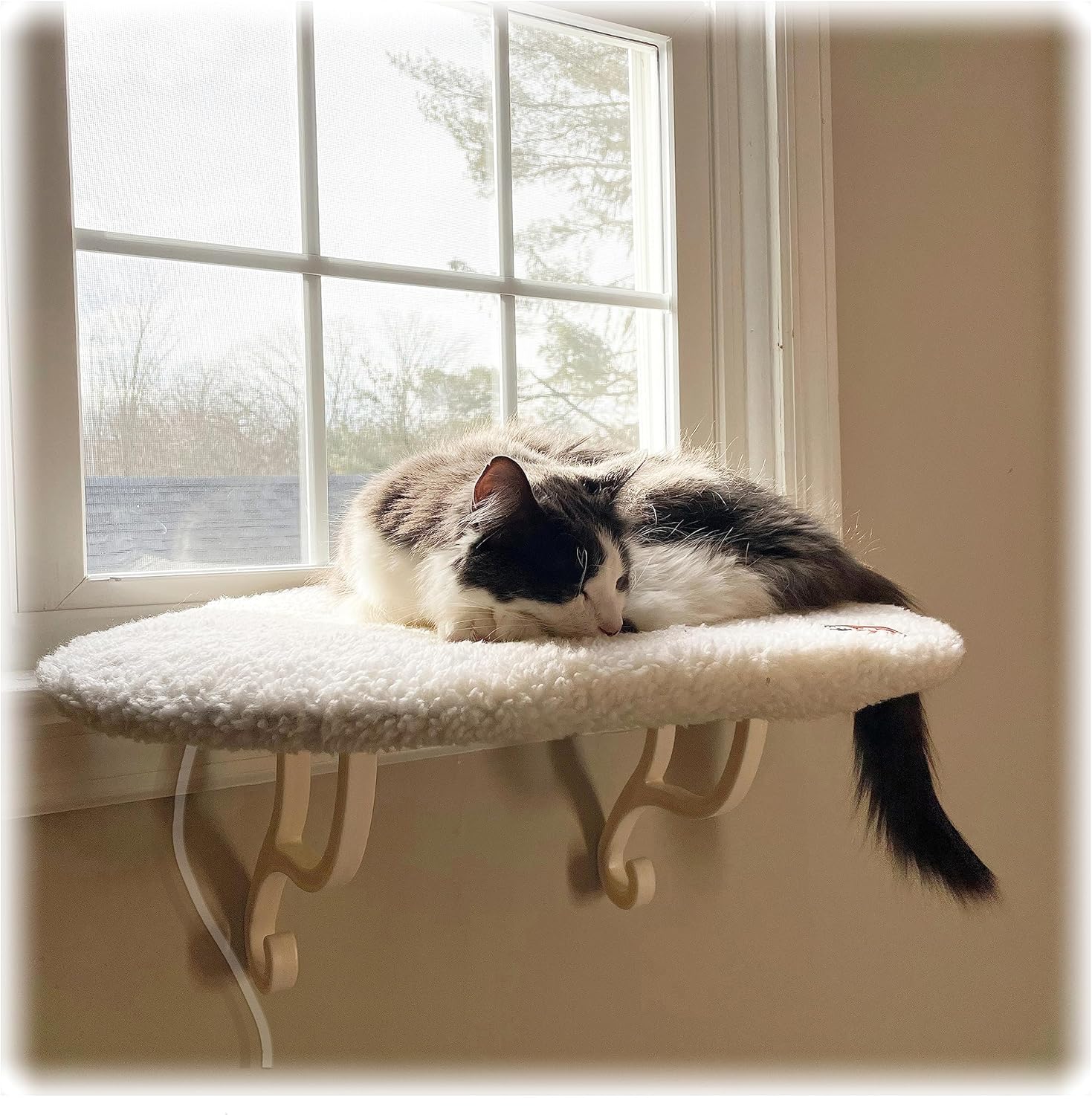 Cat Window Perch - Heated Cat Window Perch for Large