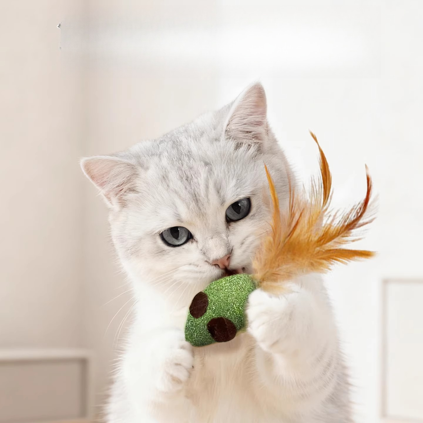 Toy Set Interactive Teaser Rod - огляд і ціна Pet Supplies Young