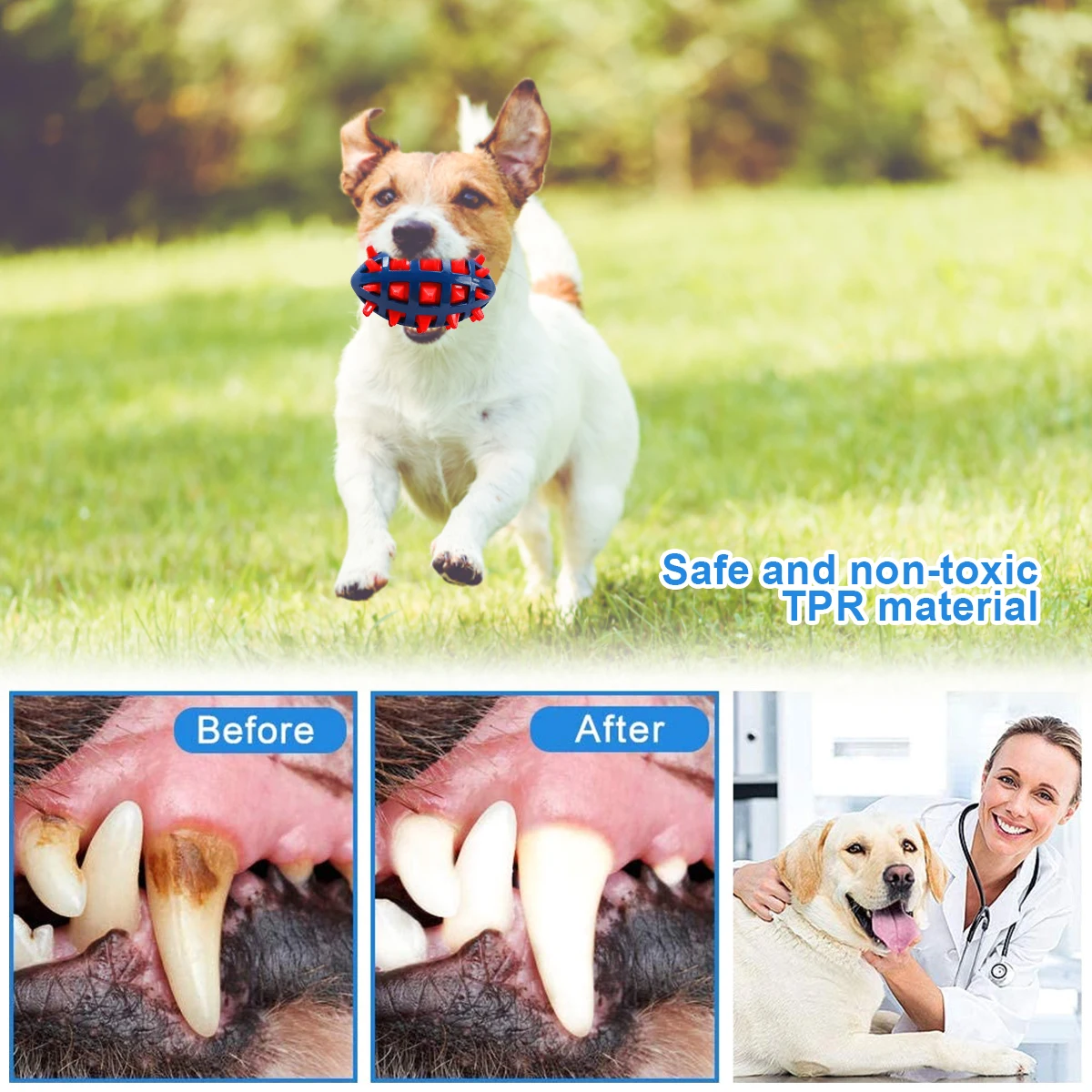 1/2Pcs Squeaky Dog Chew Toys I - огляд і ціна Pet Dental Chew Toy