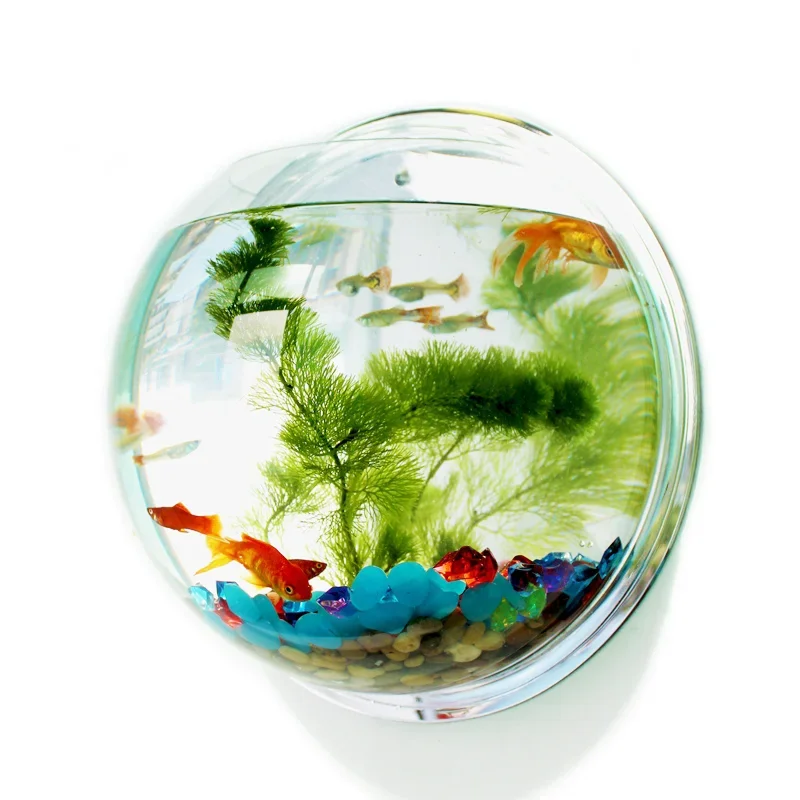 Acrylic Fish Bowl Wall Hanging - огляд і ціна Pet Supplies Fish