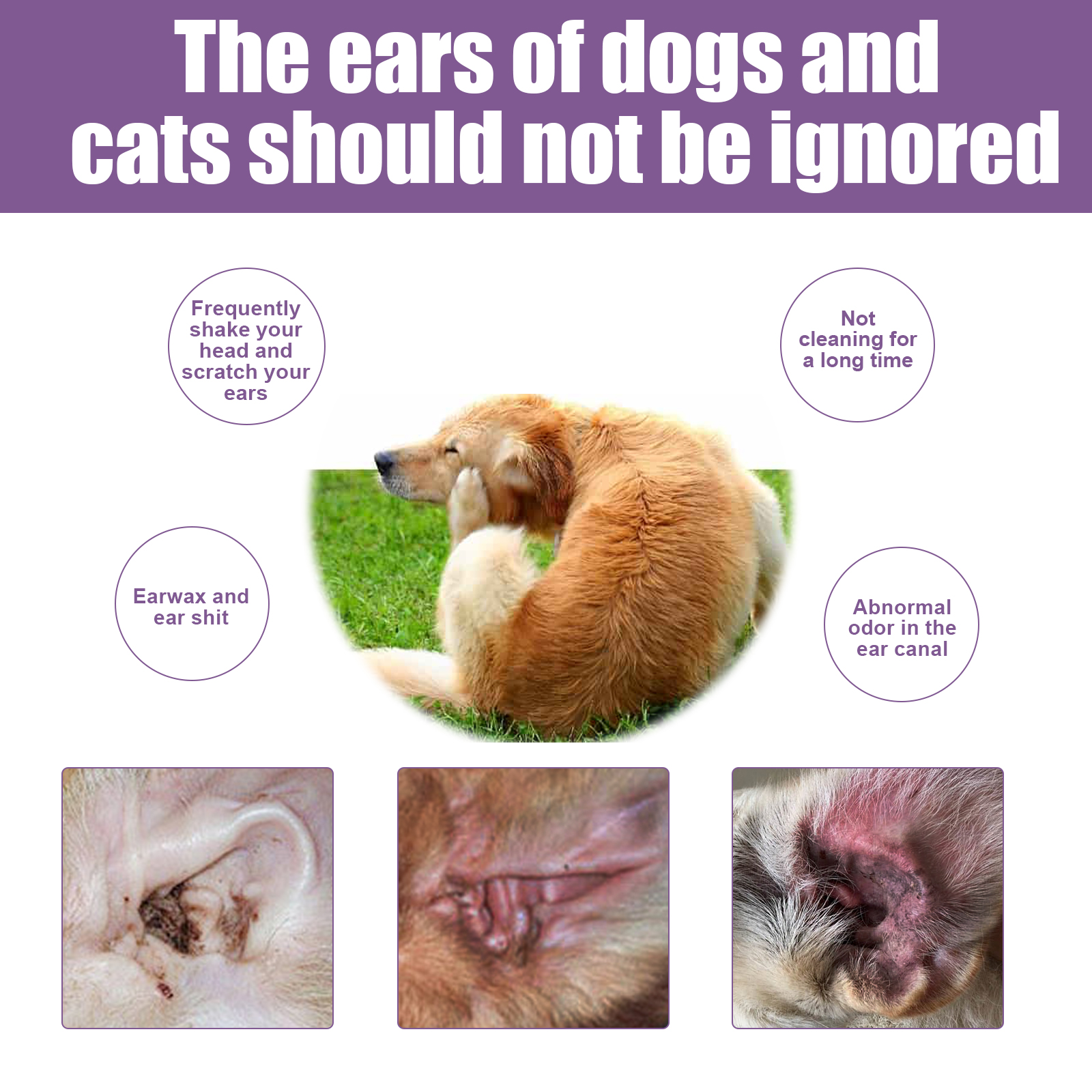 Yegbong-Pet Ear Cleaner for Ca - огляд і ціна Pet Ear Cleaner