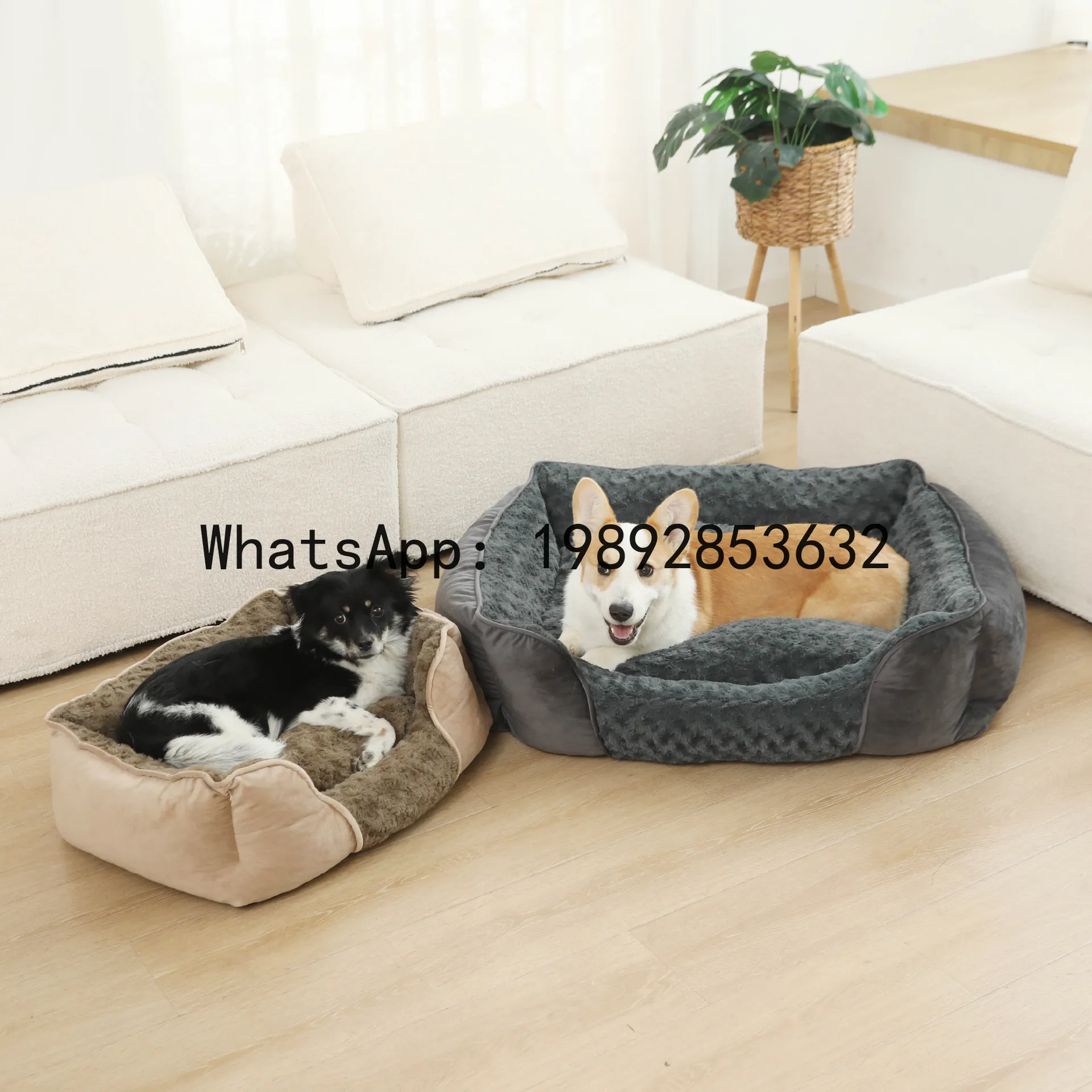 X cat house semi-enclosed dog  - огляд і ціна Pet X Supplies & Tack Howell
