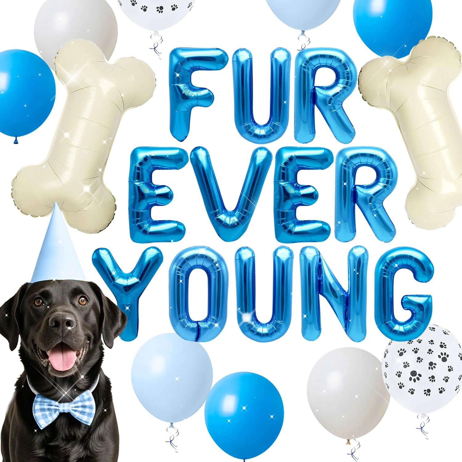15 PCS Blue Dog Birthday Party - огляд і ціна Pet Supplies Young