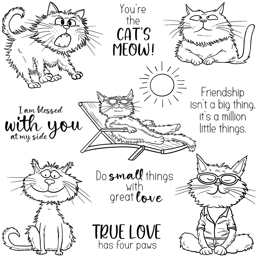 Mangocraft Funny Pet Cats Holi - огляд і ціна Pet Supplies Fish