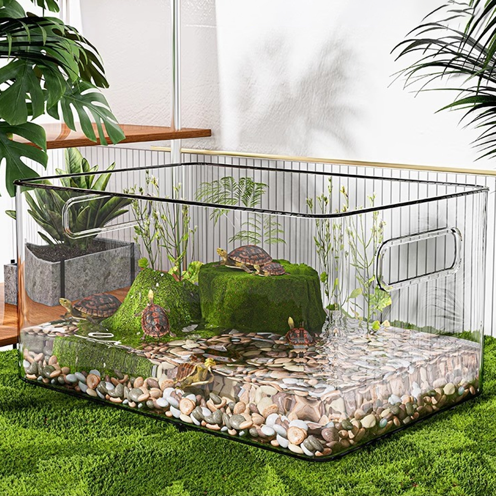 1 PC Transparent Aquatic Terre - огляд і ціна Pet Supplies Fish