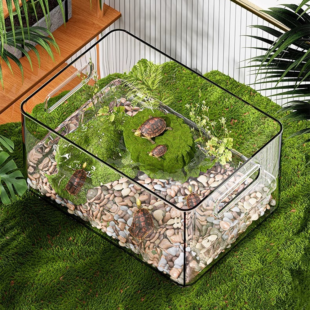 1 PC Transparent Aquatic Terre - огляд і ціна Pet Supplies Fish
