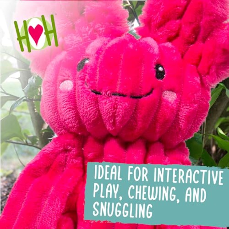 X-Brace Squeaky Dog Toy - Inte - огляд і ціна Pet X Supplies & Tack Howell