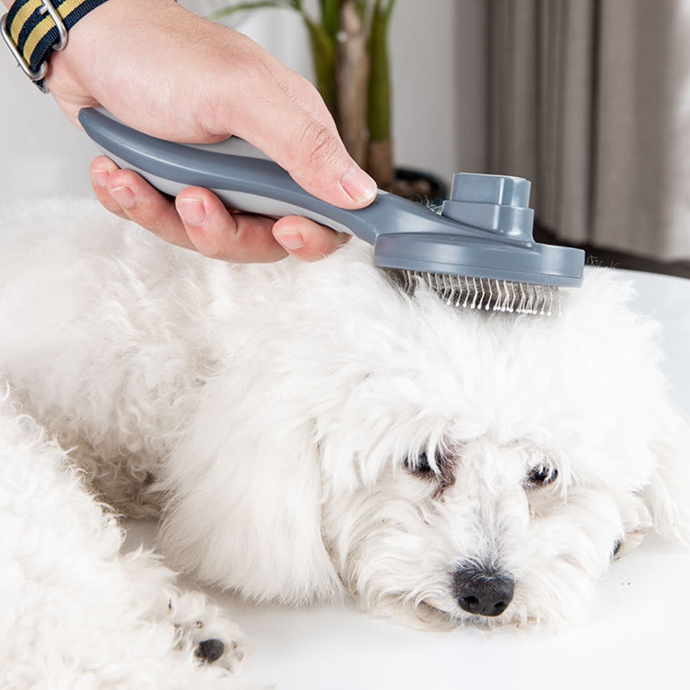 【PRICE REDUCT】High Quality Pet - огляд і ціна Pet Supplies Grooming Prices