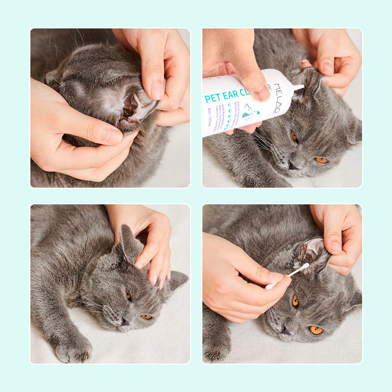 Pet Ear  Wash Cat Dog Ear Wash - огляд і ціна Pet Ear Cleaner