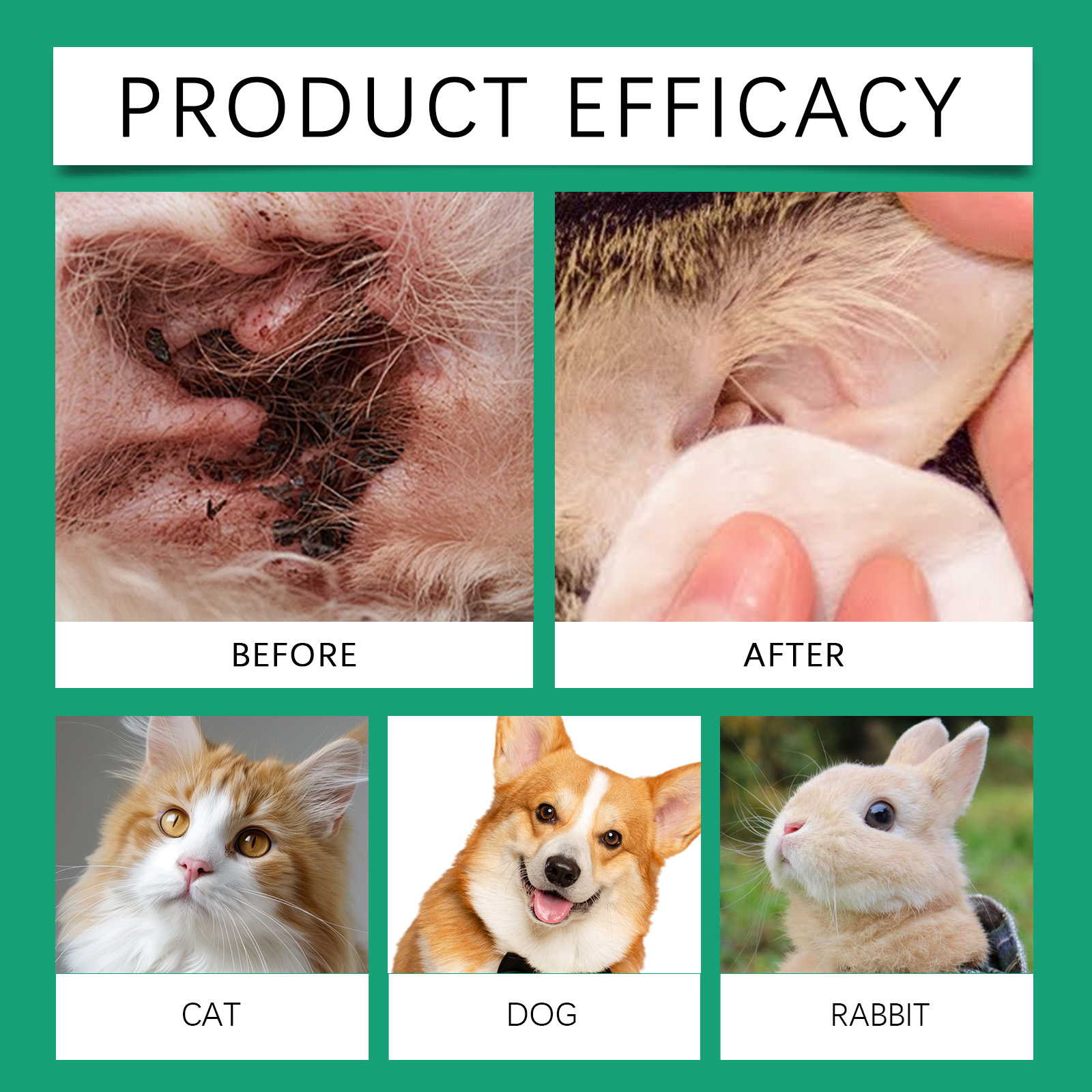 Pet Ear Cleaner, Pet Cat And D - огляд і ціна Pet Ear Cleaner