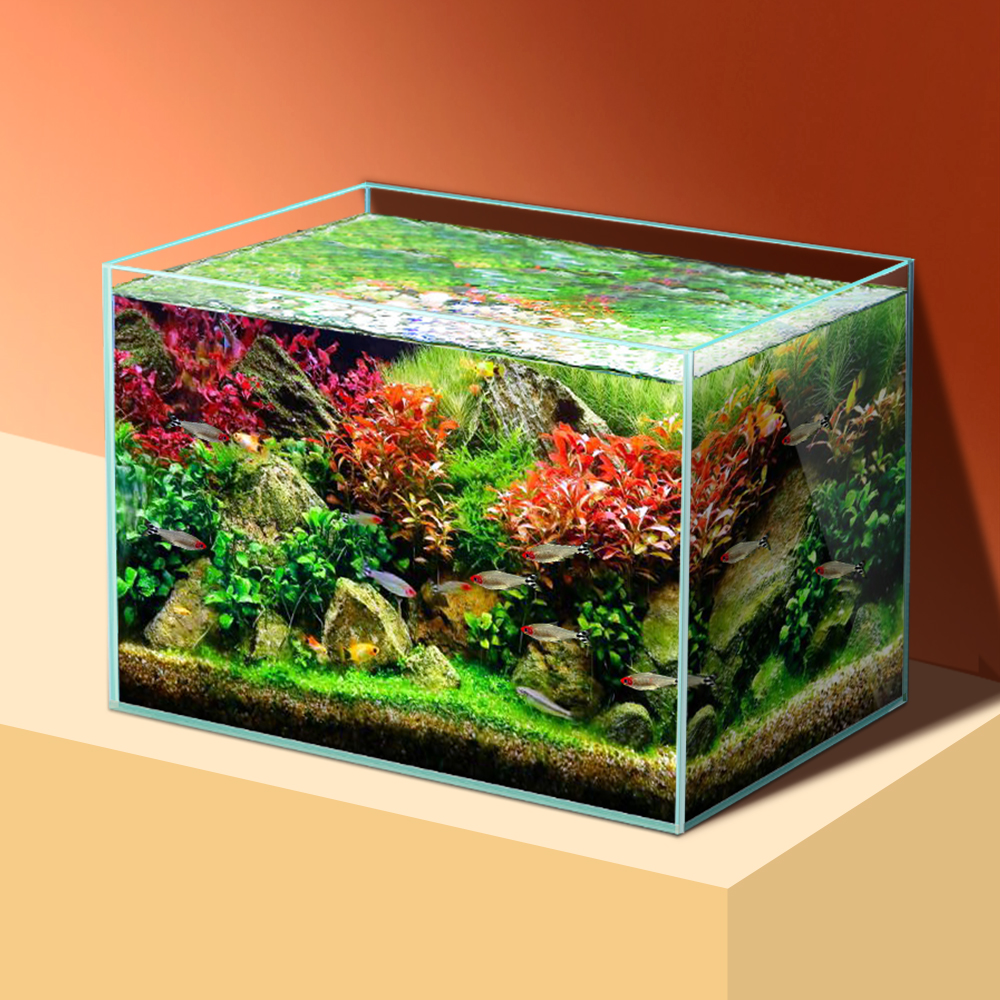 sttl Yee Pet Product Supplies  - огляд і ціна Pet Supplies Fish