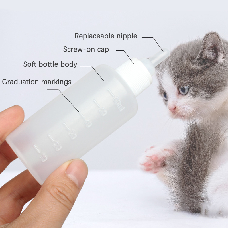 50cc Portable Household Kitten - огляд і ціна Pet Supplies Young