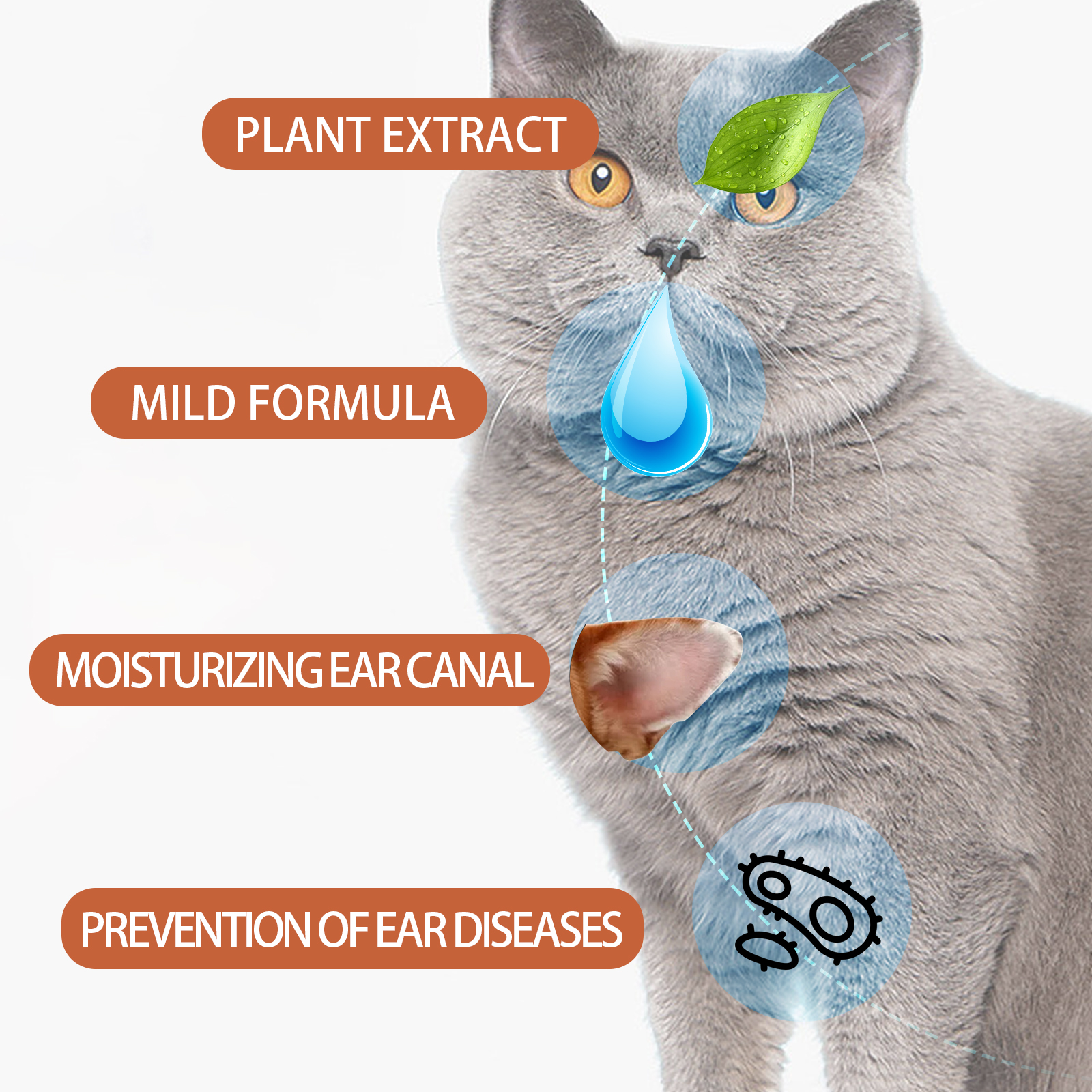 50ml Pet Ear Drops for Cats An - огляд і ціна Pet Ear Cleaner