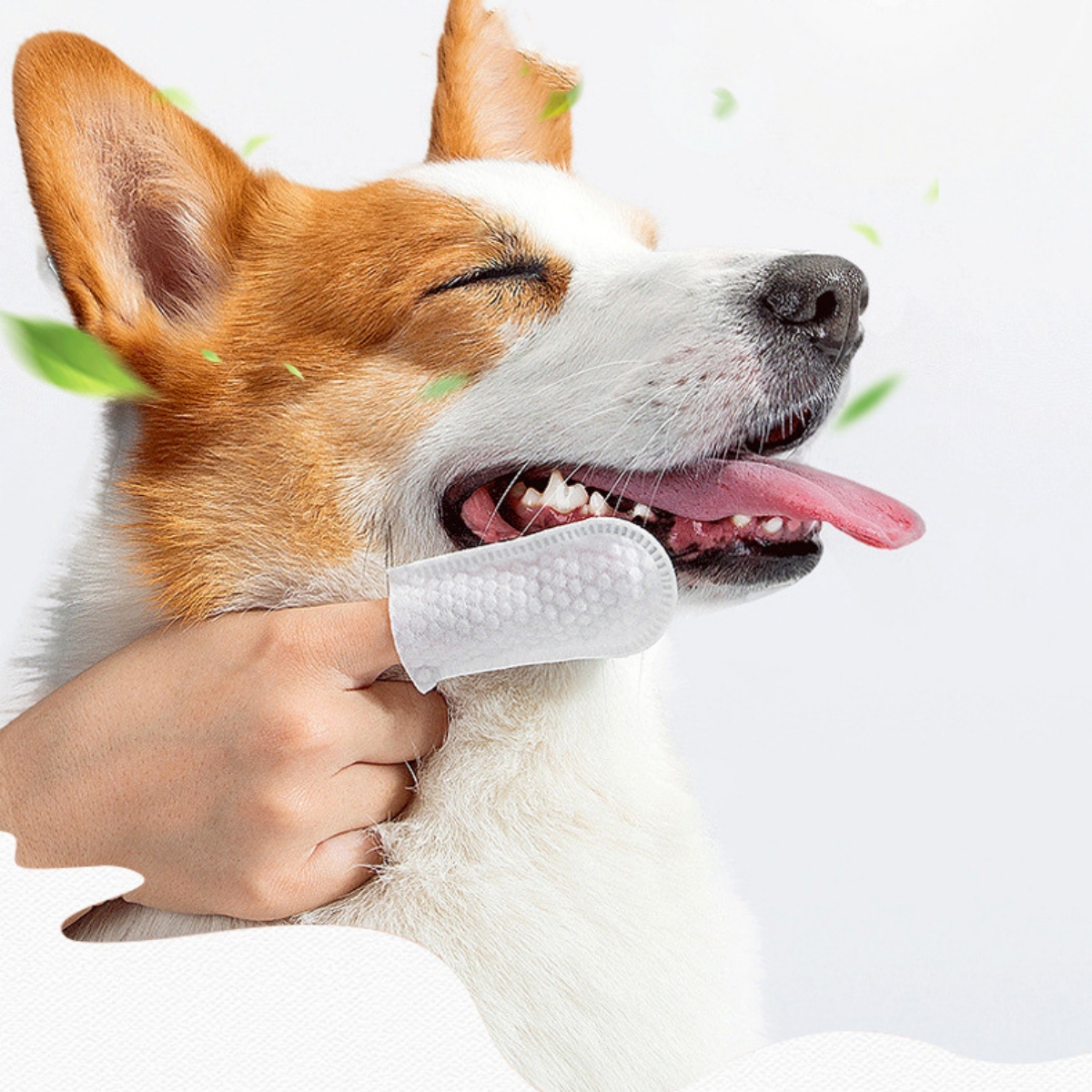 50Pcs/Pack Pet Cleaning Finger - огляд і ціна Pet Ear Cleaner